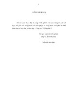 Vốn lưu động và các giải pháp nâng cao hiệu quả sử dụng vốn lưu động tại công ty cổ phần sông đà 9 