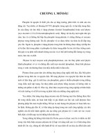 Kiểm Tra Khả Năng Sinh Tổng Hợp Phytase Tái Tổ Hợp Của Nấm Men Pichia Pastoris GS115-Phyai