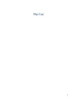 ảnh hưởng của công ty đa và xuyên quốc gia