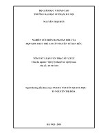 Tóm tắt luận văn thạc sĩ: NGHIÊN CỨU BIẾN DẠNG ĐÀN HỒI CỦA   HỢP KIM THAY THẾ AB CÓ NGUYÊN TỬ XEN KẼ C