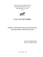 Nghiên Cứu Biến Đổi Sinh Học Đậu Hũ Bằng Bacillus Subtilis Dùng Trong Chế Biến Thực Phẩm