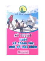 Ebook kỹ thuật nuôi và chăm sóc một số loài chim  phần 1