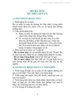 HO RA MÁU XỬ TRÍ CẤP CỨU