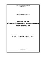 HOÀN THIỆN PHÁP LUẬT BẢO VỆ QUYỀN CON NGƯỜI CỦA NGƯỜI CHƯA THÀNH NIÊN BỊ TƯỚC QUYỀN TỰ DO Ở VIỆT NAM