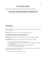 PHÁT ĐỒ ĐIỀU TRỊ MẪU, CÁC ĐƠN THUỐC MẪU ĐIỀU TRỊ NGOẠI TRÚ