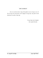 Áp dụng quản lý rủi ro khi thực hiện thủ tục hải quan điện tử đối với hàng hóa xuất khẩu, nhập khẩu thương mại tại cục hải quan thành phố hà nội