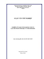 Nghiên Cứu Khả Năng Kháng Nấm Và Tạo Chế Phẩm Sinh Học Từ TRICHODERMA