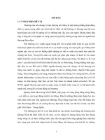 Nghiên cứu hoạt động nội thương tỉnh Quảng Ninh