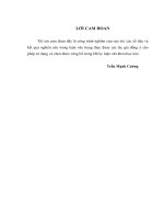 Quản lý hệ thống thông tin quản lý giáo dục Phòng GDĐT thành phố Hòa Bình, tỉnh Hòa Bình