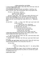 từ điển tiếng ê đê  việt