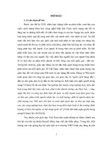 Hình thành hệ thống khái niệm cơ bản cho học sinh trong dạy học lịch sử Việt Nam (1919 1945) lớp 12 THPT”, Chương trình chuẩn