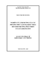 Nghiên cứu ảnh hưởng của các phương thức làm mạ khác nhau đến sinh trưởng, phát triển của lúa khang dân