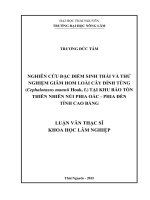 Nghiên cứu đặc điểm sinh thái và thử nghiệm giâm hom loài cây đỉnh tùng  tại khu bảo tồn thiên nhiên núi phia oắc   phia đén tỉnh cao bằng