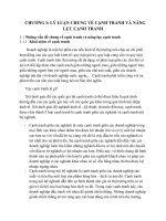 THỰC TRẠNG NĂNG lực CẠNH TRANH của CÔNG TY cổ PHẦN PHÁT TRIỂN NHÂN lực, THƯƠNG mại và DU LỊCH VIWASEEN