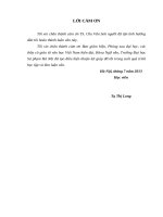 CHẤT TRỮ TÌNH TRONG VĂN XUÔI  CỦA MA VĂN KHÁNG