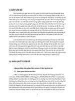 Tiêu luận : Tư tưởng Hồ Chí Minh Neu