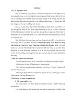 Một số giải pháp hoàn thiện hoạt động marketing tại công ty cổ phần tổng hợp gỗ tân mai đến năm 2020 