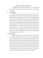 Mối quan hệ giữa chất lượng dịch vụ ngân hàng và sự hài lòng của khách hàng tại tỉnh đồng nai 
