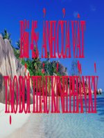 bài 45 ảnh của một vật tạo bởi thấu kính phân kì