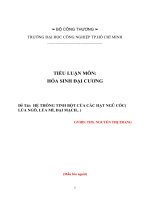 Tiểu luận môn hóa sinh đại cương hệ thống tinh bột của các hạt ngũ cốc