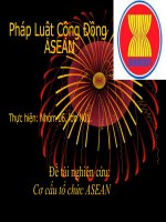 Cơ cấu tổ chức ASEAN