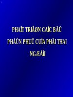 PHÁT TRIỂN các bộ PHẬN PHỤ của PHÔI THAI NGƯỜI 