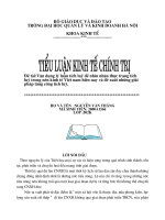 Vận Dụng Lý Luận Tích Luỹ Để Nhìn Nhận Thực Trạng Tích Luỹ Trong Nền Kinh Tế Việt Nam Hiện Nay Và Đề Xuất Những Giải Pháp Tăng Cường Tích Luỹ