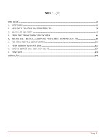 Phương pháp trộn sâu xu măng áp dụng cho đất sét yếu ở châu thổ sông mekong