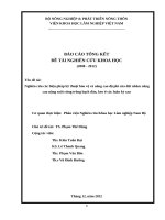 Nghiên cứu các biện pháp kỹ thuật bảo vệ và nâng cao độ phì của đất nhằm nâng cao năng suất rừng trồng bạch đàn, keo ở các luân kỳ sau 