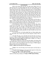 Tổ chức công tác kế toán nguyên vật liệu,công cụ dụng cụ ở công ty TNHH nguyên hoàng