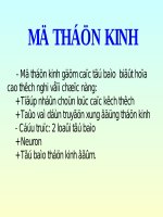 MÔ THẦN KINH 