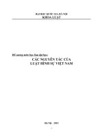 Đề cương môn học Sau đại học: CÁC NGUYÊN TẮC CỦA LUẬT HÌNH SỰ VIỆT NAM