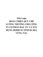 HOÀN THIỆN QUY CHẾ LƯƠNG THƯỞNG CHO CÔNG TY cổ PHẦN đầu tư và xây DỰNG HODECO TỈNH bà rịa VŨNG tàu 