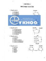 CHƯƠNG 1 HÓA HỌC GLUCID - Tổng hợp glucid, lipid, protein