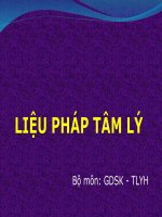 LIỆU PHÁP TÂM LÝ, Bộ môn: GDSK - TLYH