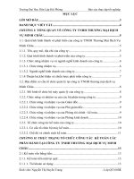 Tổ chức công tác kế toán doanh thu bán hàng và xác định kết quả kinh doanh của công ty TNHH thương mại dịch vụ minh châu 