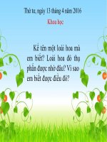 Bài giảng cây con mọc lên từ đâu?