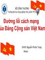 đường-lối CM của Đảng CSVN