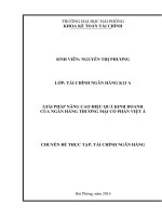 GIẢI PHÁP NÂNG CAO HIỆU QUẢ KINH DOANH của NGÂN HÀNG THƯƠNG mại cổ PHẦN VIỆT á 