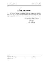 HOÀN THIỆN KIỂM TOÁN CHI PHÍ bán HÀNG và CHI PHÍ QUẢN lý DOANH NGHIỆP TRONG KIỂM TOÁN báo cáo tài CHÍNH DO CÔNG TY TNHH KIỂM TOÁN và tư vấn ( ac ) THỰC HIỆN 