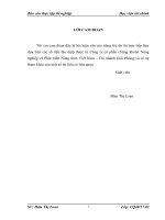 Giải pháp nâng cao hiệu quả hoạt động môi giới tại công ty chứng khoán ngân hàng nông nghiệp và phát triển nông thôn việt nam  – chi nhánh giải phóng  