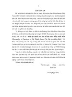 Biên tập chuẩn hoá bản đồ địa chính bằng phần mềm microstation và phần mềm famis tại  xã cát thành, huyện phù cát, tỉnh bình định 