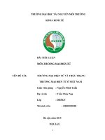 tieu luan; thương mại điện tử và thực trạng thương mại điện tử ở việt nam 