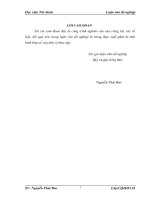 Một số giải pháp phòng chống buôn lậu tại cục điều tra chống buôn lậu – tổng cục hải quan 