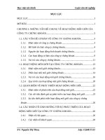 giải pháp phát triển hoạt động môi giới chứng khoán tại công ty cổ phần chứng khoán rồng việt 