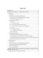 bán phá giá, thuế chống bán phá giá cũng như thực trạng bán phá giá hàng hóa nước ngoài tại việt nam, hàng hóa việt nam bán phá giá ở nước ngoài và những bài học rút ra