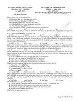 Đề thi thử THPT Quốc gia môn Hóa học tháng 3 năm 2016 trường THPT Chuyên Lê Quý Đôn, Đà Nẵng