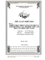 triết học phật giáo ấn độ và ảnh hưởng của nó đối với văn hoá xã hội việt nam 