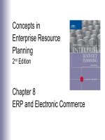Bài giảng concepts in enterprise resource planning (2nd edition)   chương 8  ERP and electronic commerce