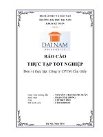 Báo cáo thực tập: Phân tích Tình hình thực tế tổ chức công tác kế toán tại công ty  CPTM cầu giấy